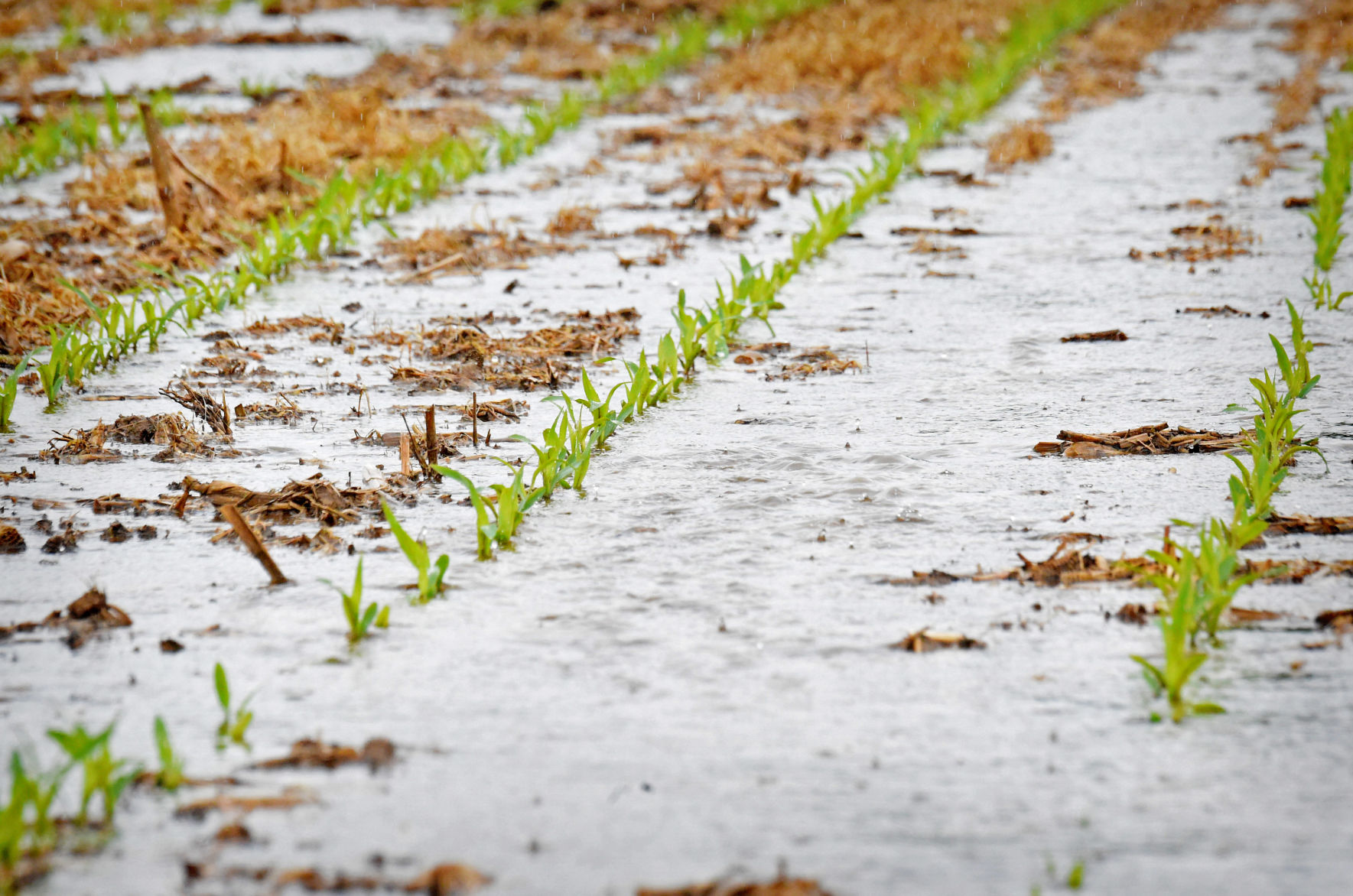 Rain May 13 2019